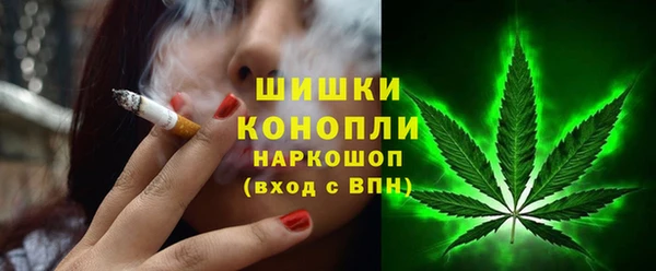 индика Балабаново
