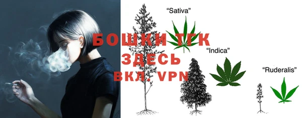 индика Балабаново
