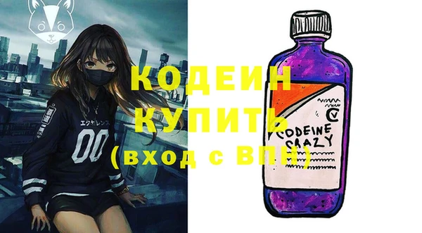 индика Балабаново