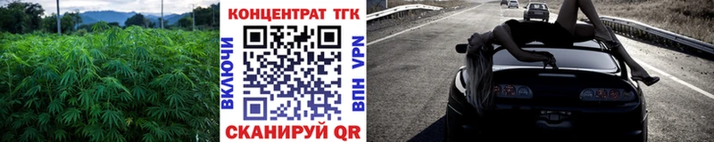 кракен вход  Петровск-Забайкальский  ТГК вейп 